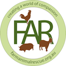Logo Photo